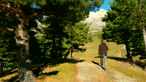 following a man trekking on the road in the spanish mountains, passing through the trees, you can see the mountains and the blue sky