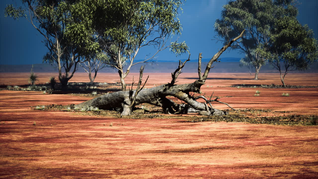 Landscape with dry trees and red earth under a clear blue sky