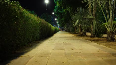 camino para caminar por la calle con un árbol por la noche desde un ángulo bajo