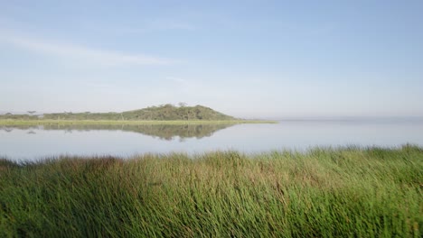 low angle drone shot of lake elementaita shoreline