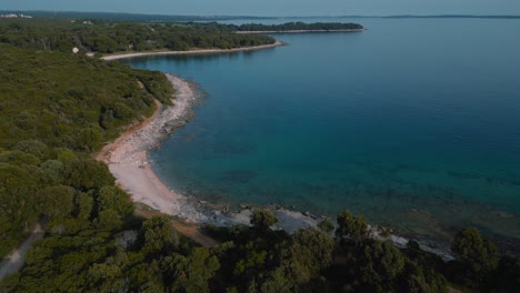 scenic croatia istria coast with clear blue and turquoise seaside water at a natural beach coast bay in forest and pine trees