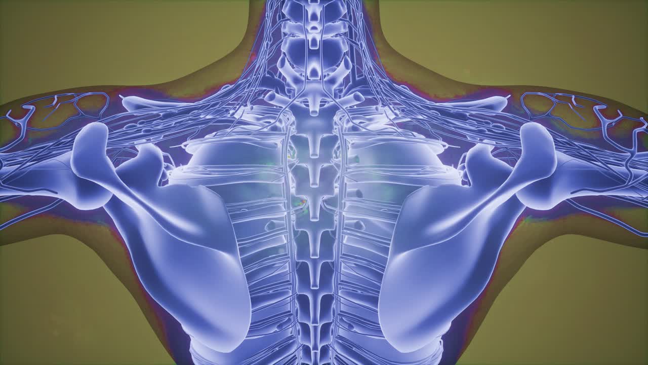 3d 자기 공명 이미지 스캔