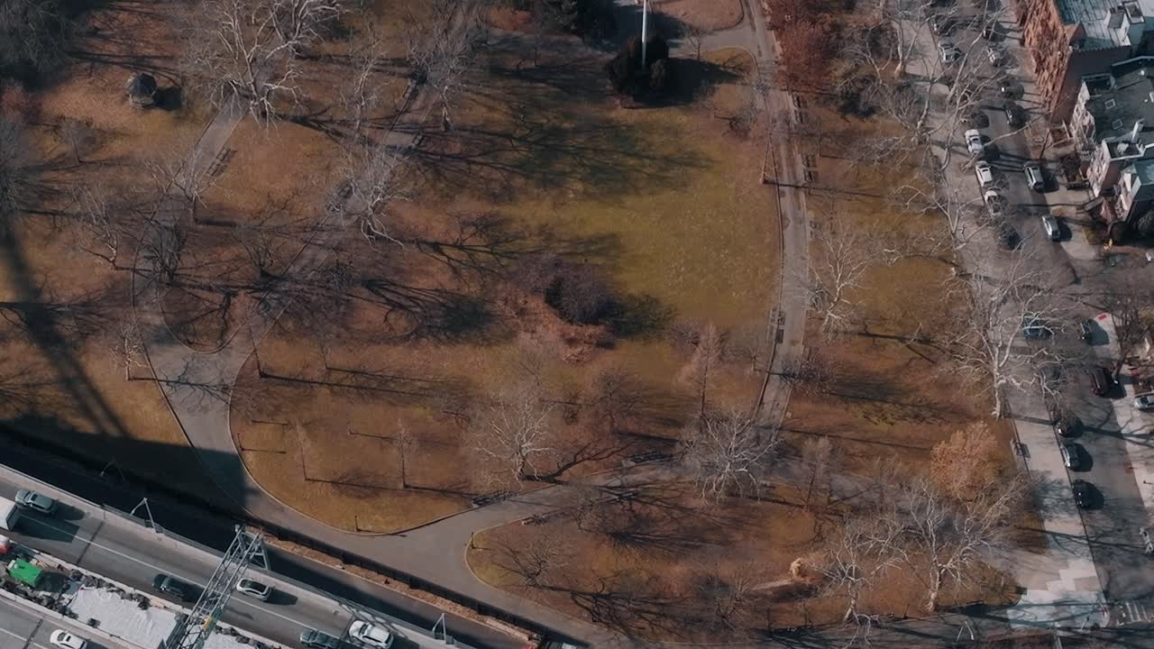 View of a park in New York showing trees and paths on a clear day