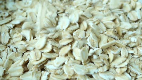 rolled oats close-up