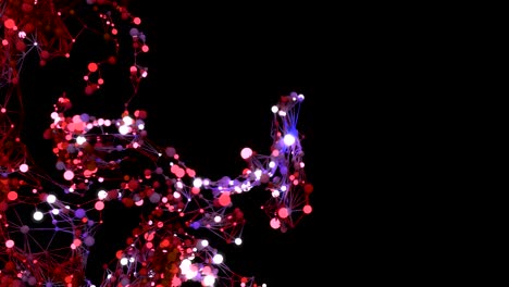 molecular network growth.