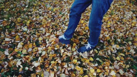 walking through a fall park
