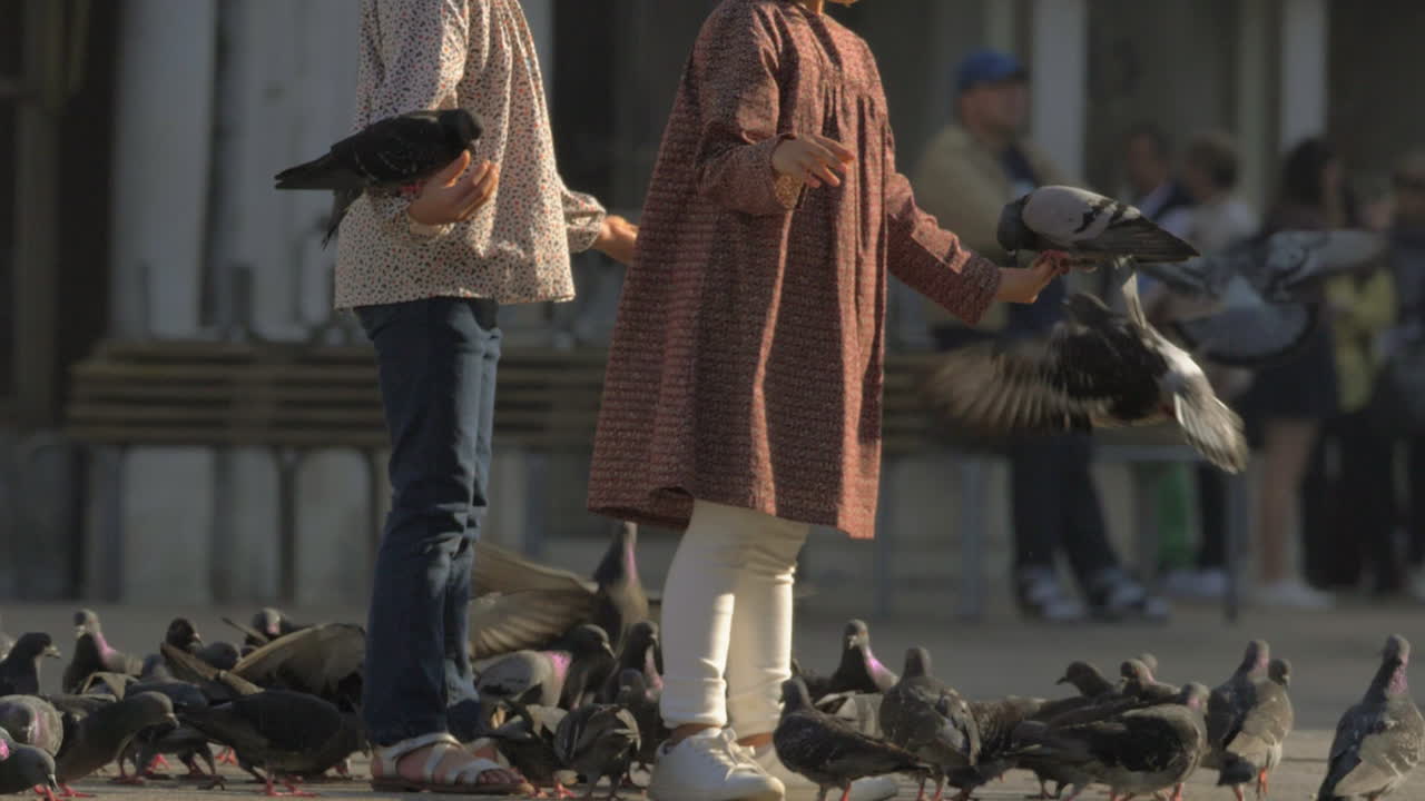 베니스에서 비둘기를 먹이는 두 여성의 느린 동영상