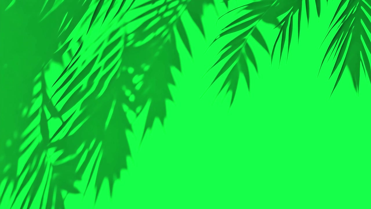 Tropical palm leaves silhouette animation, transparent 4K video, green screen