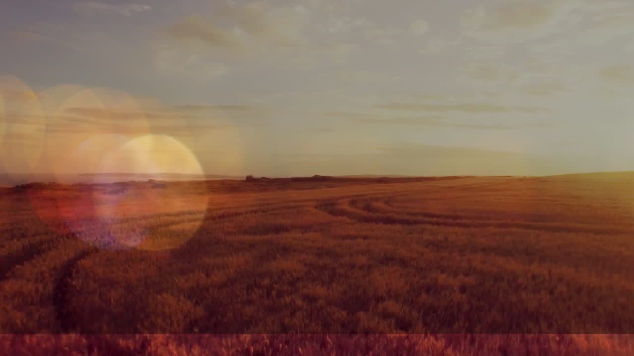 боке-светильники на закате