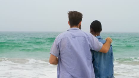 Vista-Trasera-De-Una-Pareja-De-Raza-Mixta-De-Pie-Juntos-En-La-Playa-4k