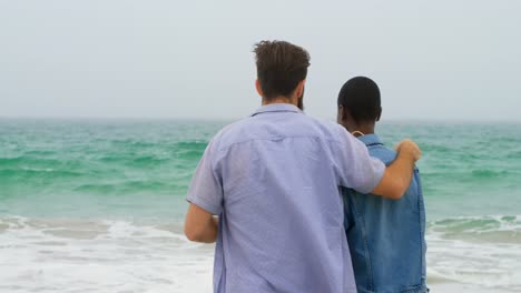 rear view of mixed race couple standing together on the beach 4k