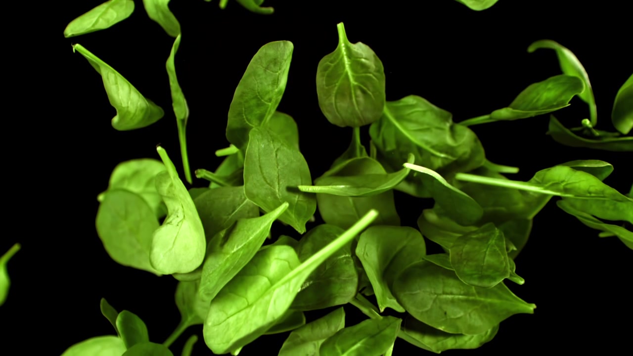 Foglie di spinaci fresche e verdi che cadono al rallentatore