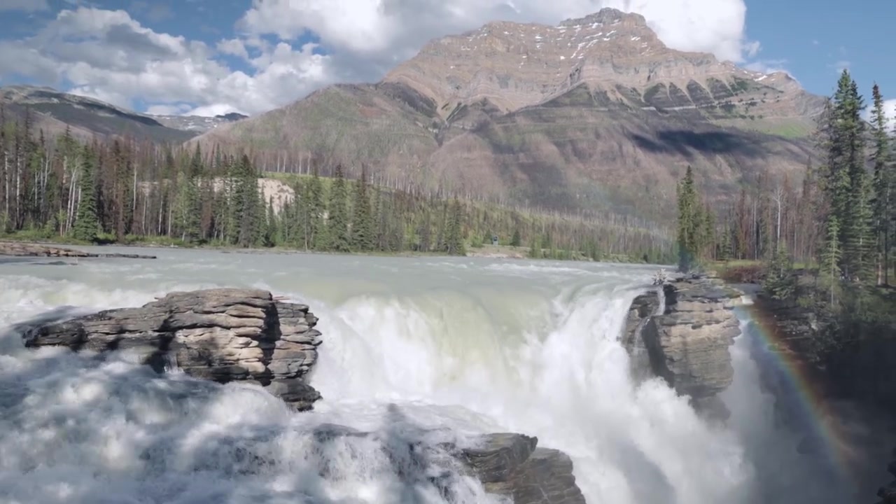 La telecamera panoramica dalle impetuose cascate Athabasca verso l'alto, rivelando nebbia, un debole arcobaleno, fitti sempreverdi e l'alta montagna con la cima innevata che si erge sopra la gola nel Parco Nazionale di Jasper