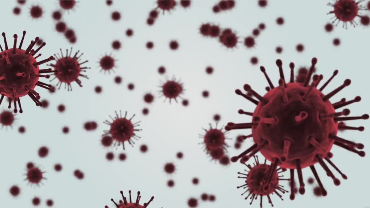 Animazione di molteplici cellule di coronavirus fluttuanti che si diffondono e infettano.