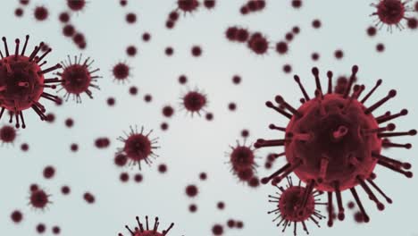 animación de múltiples células de coronavirus que se propagan e infectan flotando