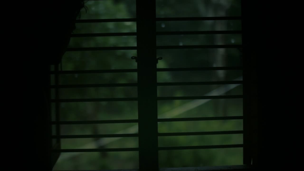 Silhouette of person looking out window in rainy day. Static, shallow focus