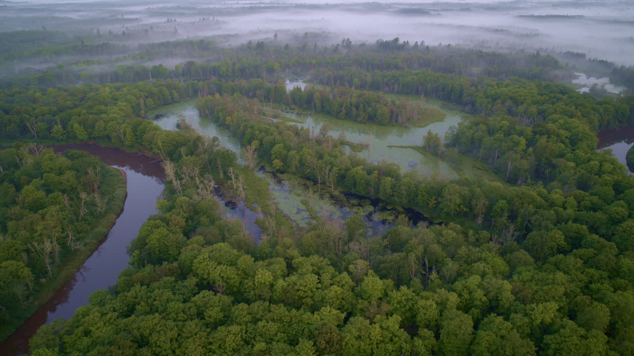 Drone shot flying over the wild Manistee river on a foggy morning