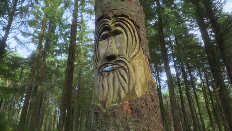 face carved into tree trunk in secluded pine forest with slow pan on summer day