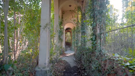 abandoned arched passage overgrown with ivy