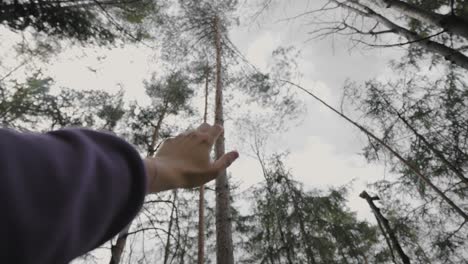 hands playing in the air in the middle of the woods of italy