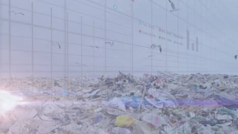 쓰레기 매립장에서 쓰레기 위를 날아다니는 새와 함께 움직이는 그래프를 가진 그리드 패턴의 애니메이션