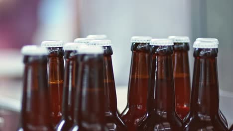 glass bottles of beer in beer factory