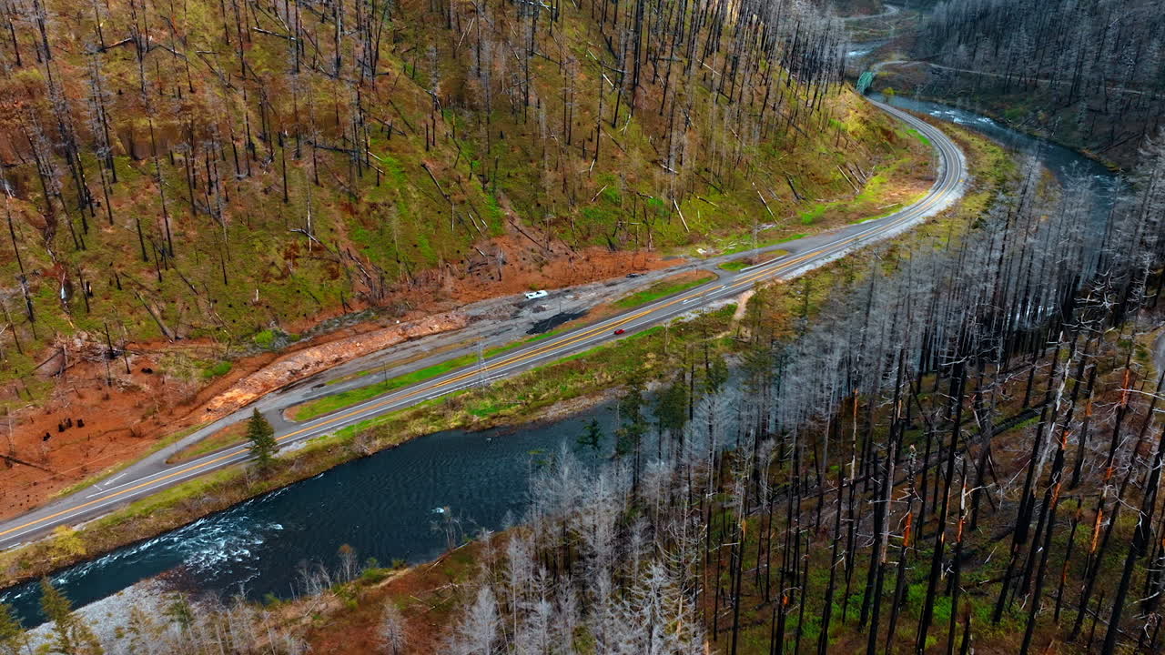 Burnt pine trees cover the large areas in the mountains. Drone approaches the highway and river among the rocks.