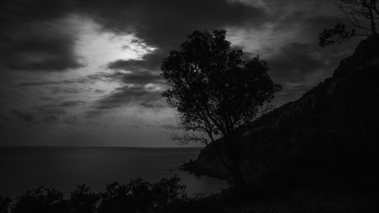 árbol de la luna 4k 02