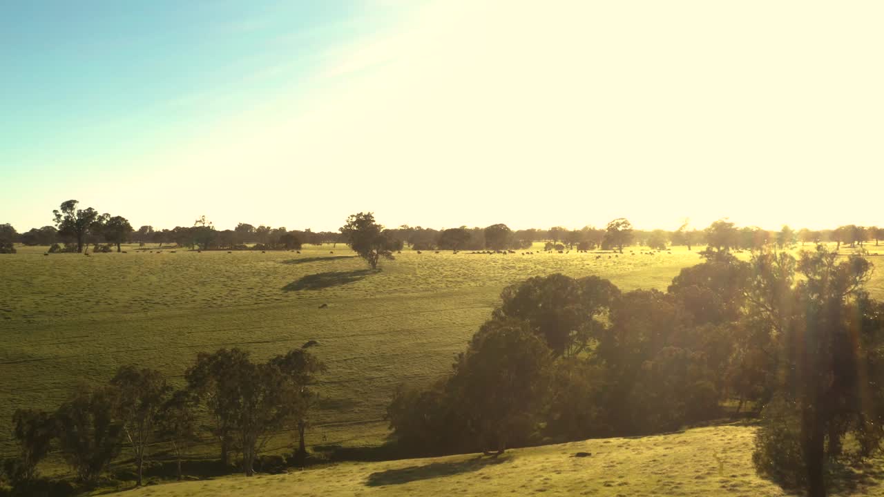 Ripresa aerea introduttiva del sole su pianure e colline ricoperte d'erba, Culla Victoria, paesaggio rurale australiano.
