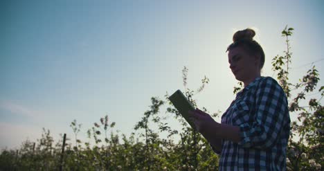 Female-Researcher-Using-Digital-Tablet-At-Farm