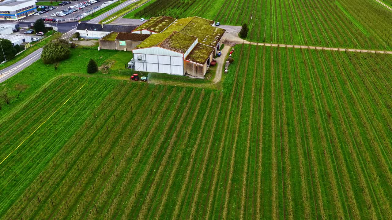 Aerial view of tractor spraying green orchard near farm buildings
