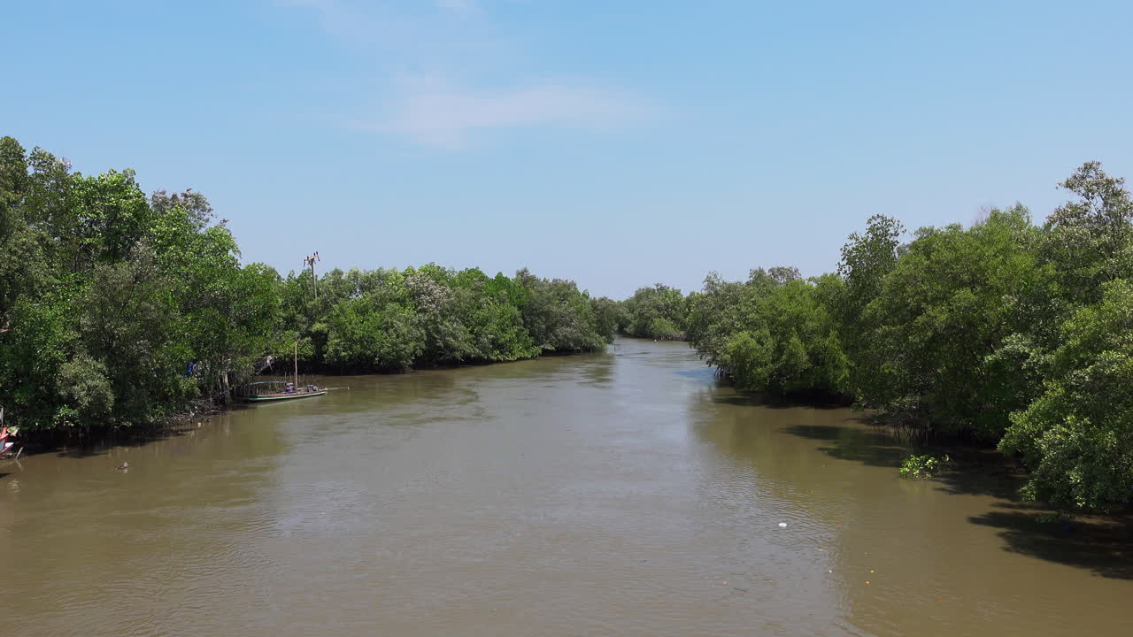 bosque de manglares que rodea un río tranquilo bajo un cielo azul claro en un entorno tropical