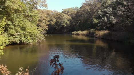 Aerial-low-shot-with-drone-fly-over-river-between-trees-in-summer-day