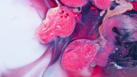 Vivid-pink-and-navy-swirls-merging-in-water,-creating-an-abstract-art-effect,-close-up