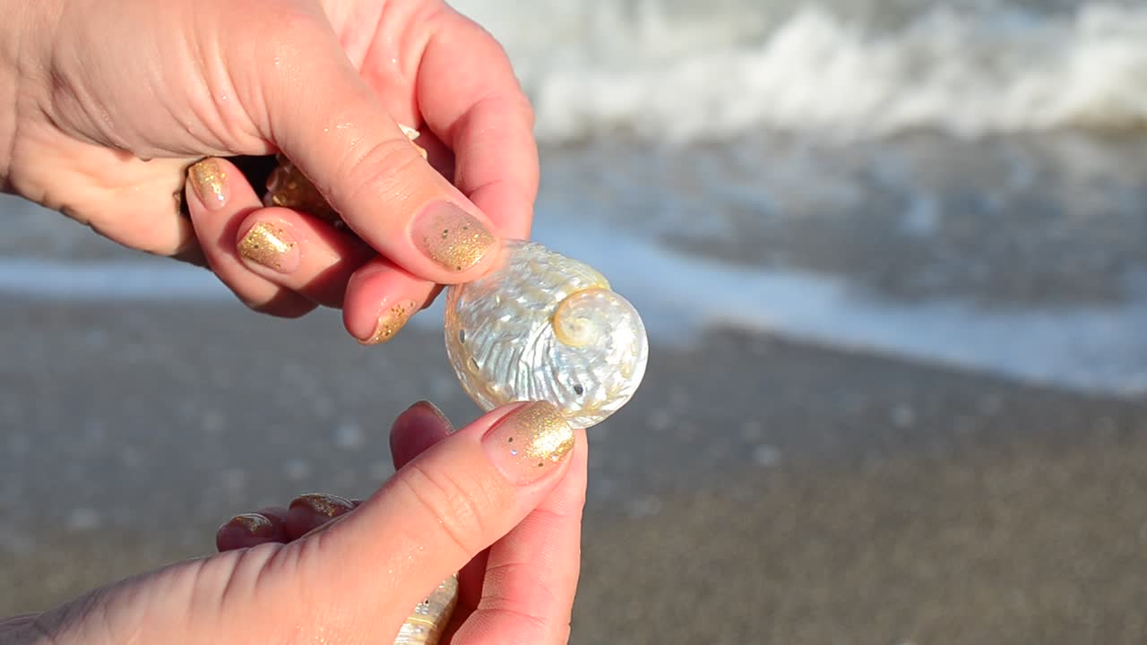 Conchiglia marina in una mano. Spiaggia. Scatto sulla spiaggia