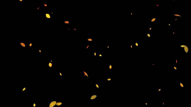 Effetti visivi, VFX, foglie che cadono su sfondo nero, animazione 3D