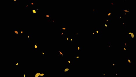 visual effects, vfx, falling leaves on black background 3d animation