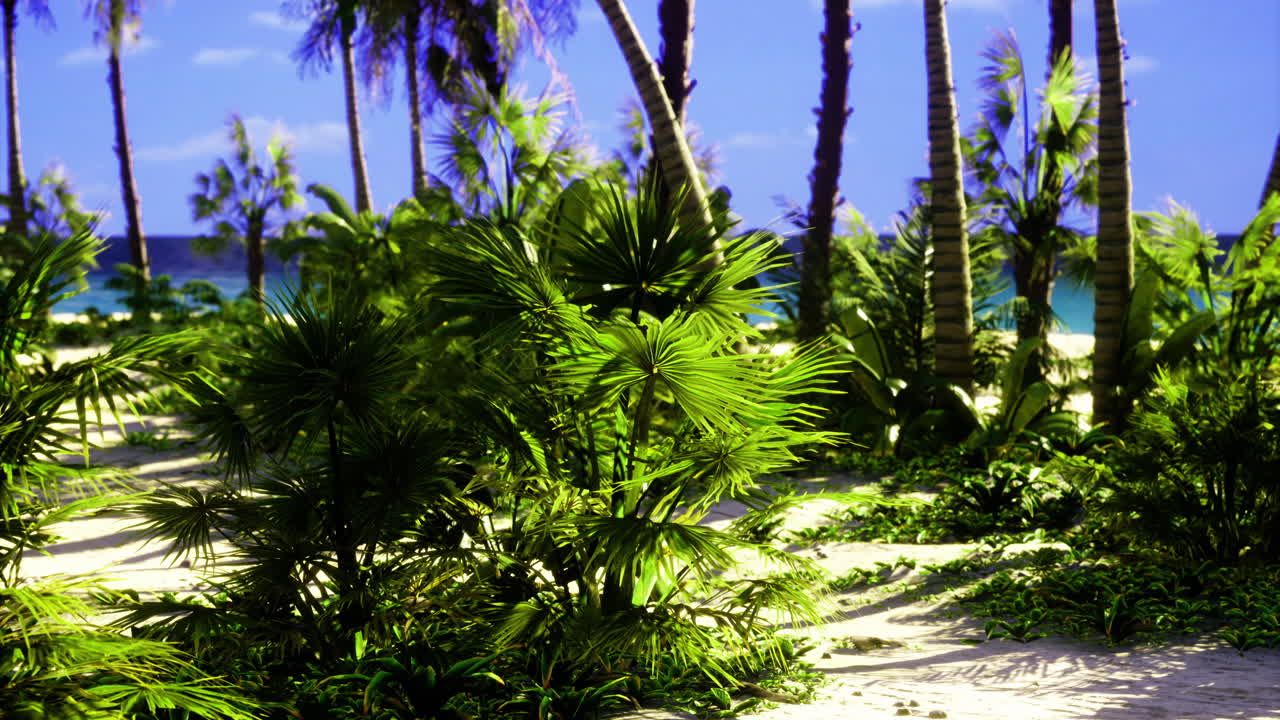 Lush tropical greenery overlooking a serene ocean view at midday