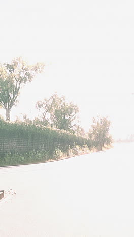 empty road with trees and wall