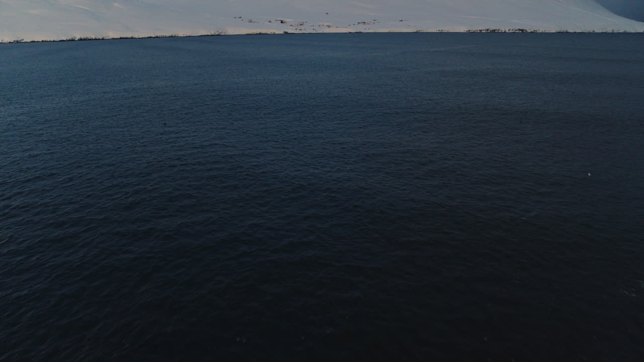 Snowy Icelandic coastline with waves lapping icy shores, serene Arctic seascape at dawn, aerial pullback reveal