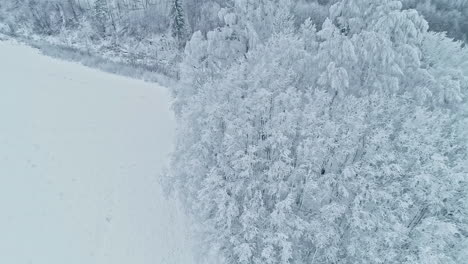 aerial view trees and fields covered in white snow in heavy winter weather