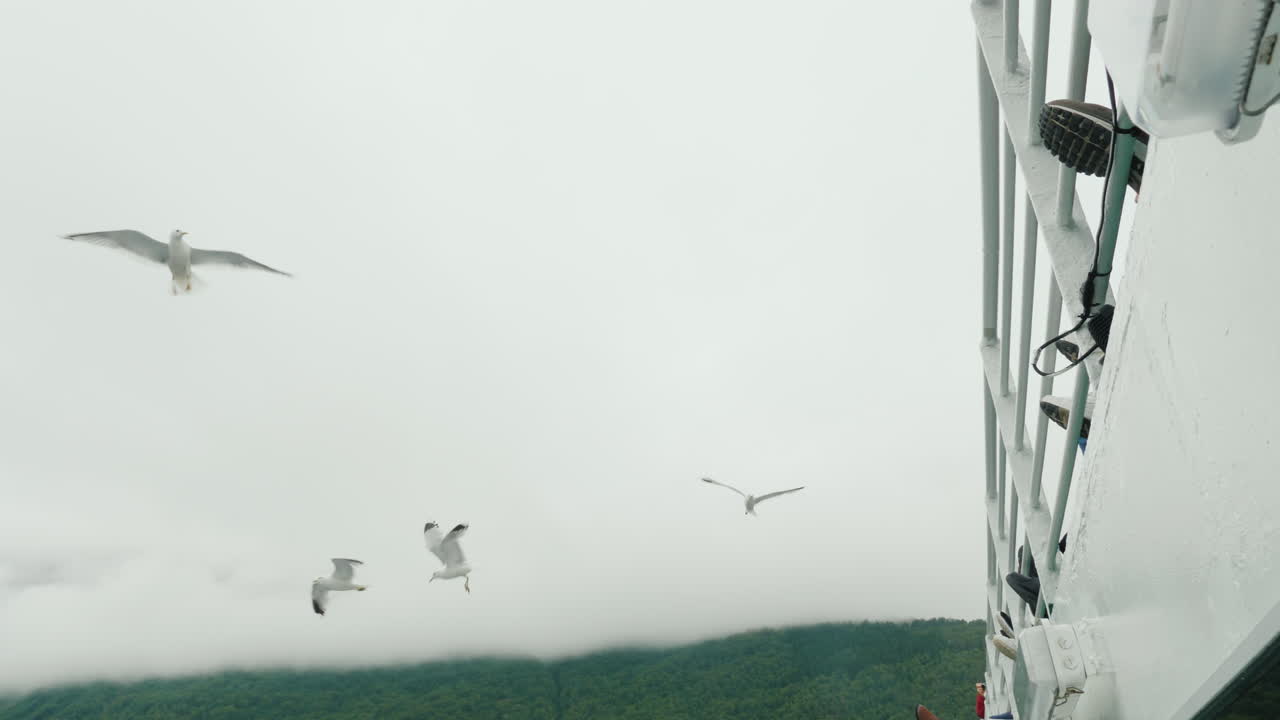 그림 같은 산과 피요르드를 배경으로 날아가는 갈매기 떼