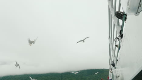 Ein-Schwarm-Möwen-Im-Flug-Vor-Dem-Hintergrund-Malerischer-Berge-Und-Fjorde