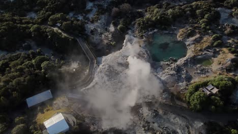 pohutu geyser of whakarewarewa in rotorua, new zealand with steam rising