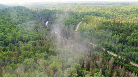 spectacular lush canadian woodland aerial through thin cloud