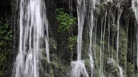 close up of the idyllic burgbachwasserfall in the black forest, germany