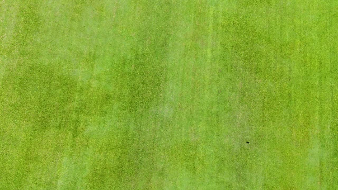 imágenes aéreas de un vasto paisaje de hierba