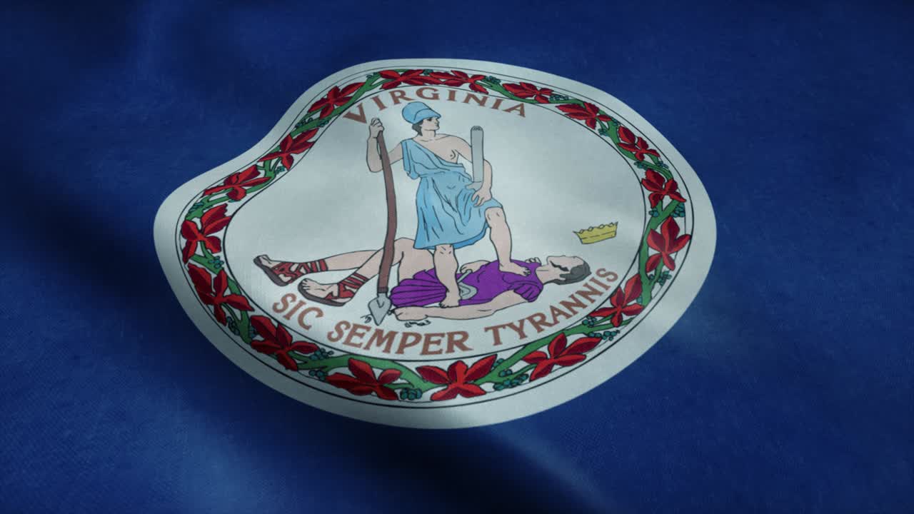 바람에 흔들리는 버지니아 주 발: 매우 상세한 직물 질감으로 완벽한 루프