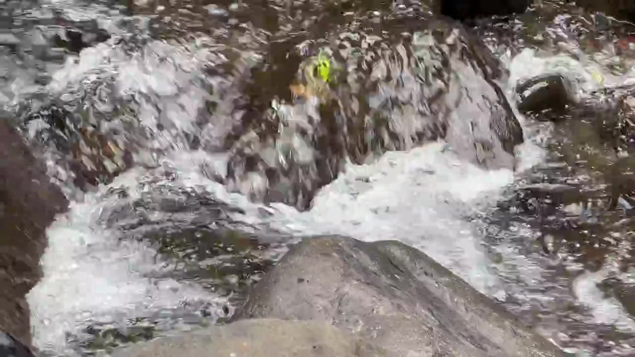 Água Cristalina Fluindo sobre Rochas em um Riacho de Montanha