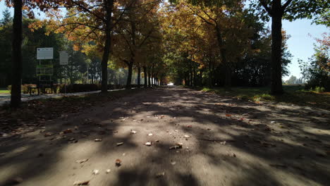 Colorful-trees-and-footpath-road-in-autumn-landscape-in-the-park